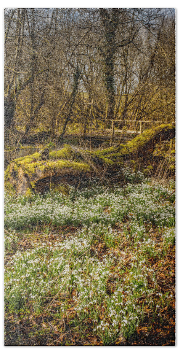 Berkshire Bath Towel featuring the photograph Snowdrop Woods #5 by Mark Llewellyn