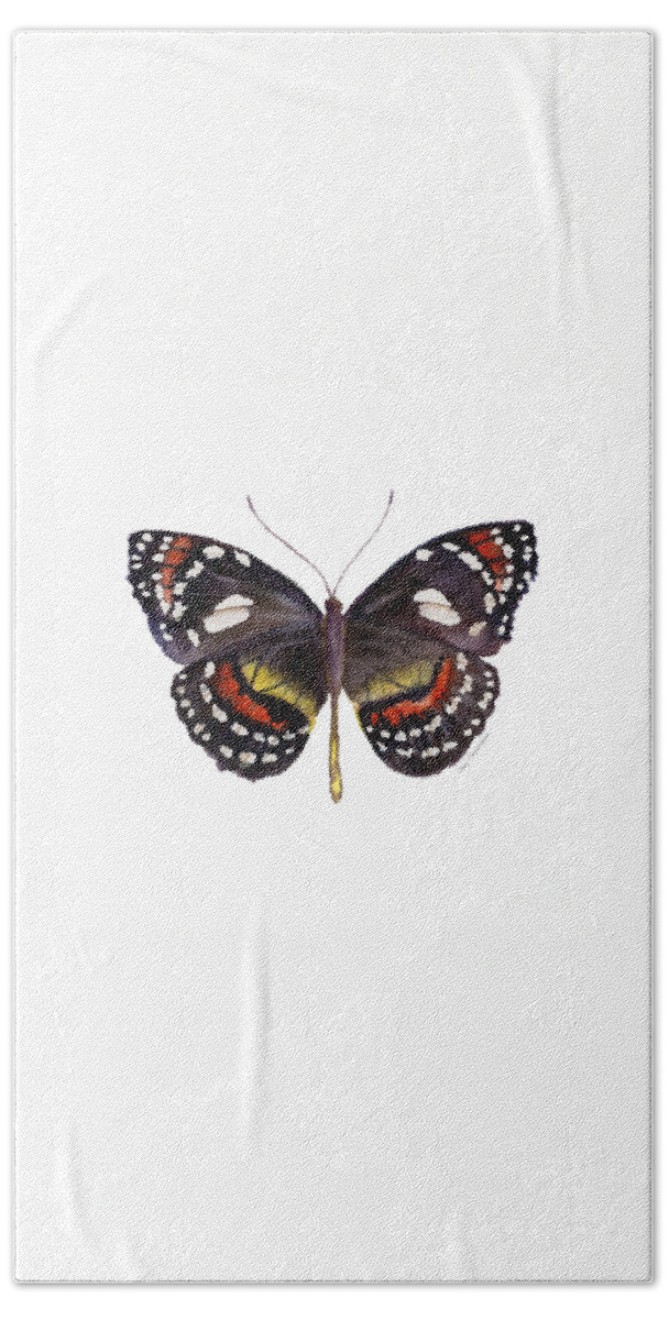 Elzunia Bonplandii Butterfly Bath Towel featuring the painting 50 Elzunia Bonplandii Butterfly by Amy Kirkpatrick