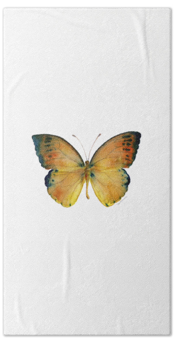 Leucippe Hand Towel featuring the painting 53 Leucippe Detanii Butterfly by Amy Kirkpatrick