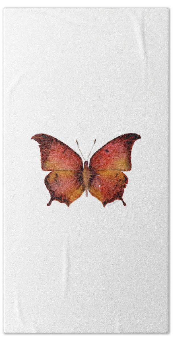 Andria Hand Towel featuring the painting 58 Andria Butterfly by Amy Kirkpatrick