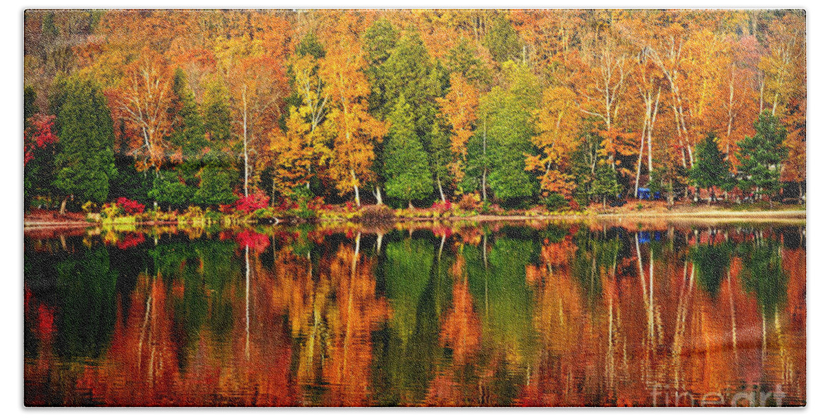 Lake Bath Towel featuring the photograph Fall forest reflections by Elena Elisseeva