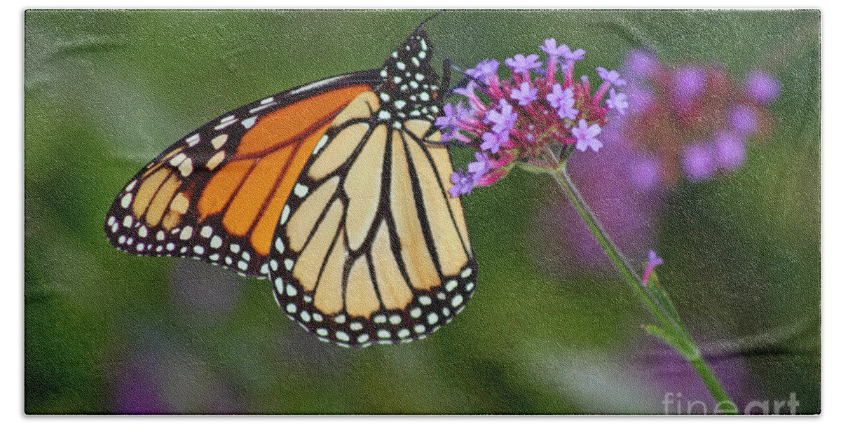Monarch Hand Towel featuring the photograph Monarch Butterfly in Garden #2 by Karen Adams