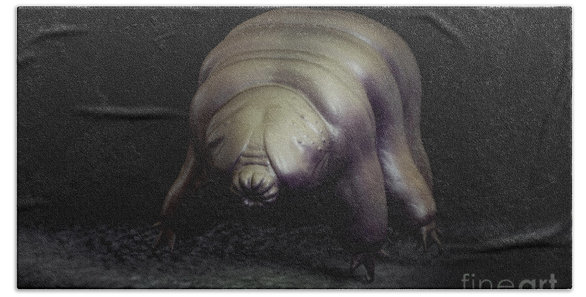 Protostomia Hand Towel featuring the photograph Water Bear Tardigrades #6 by Science Picture Co