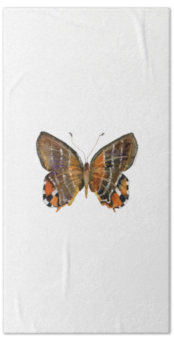 Euselasia Butterfly Hand Towel featuring the painting 60 Euselasia Butterfly by Amy Kirkpatrick