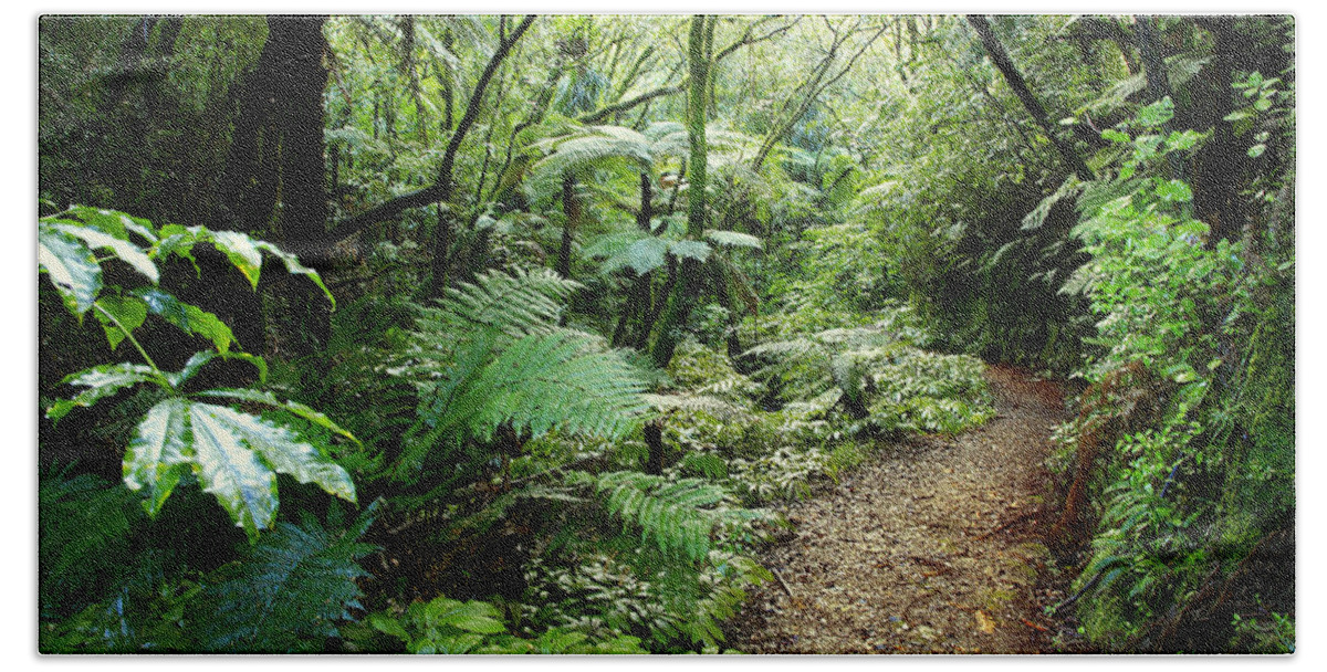 Bush Bath Towel featuring the photograph Forest trail #7 by Les Cunliffe