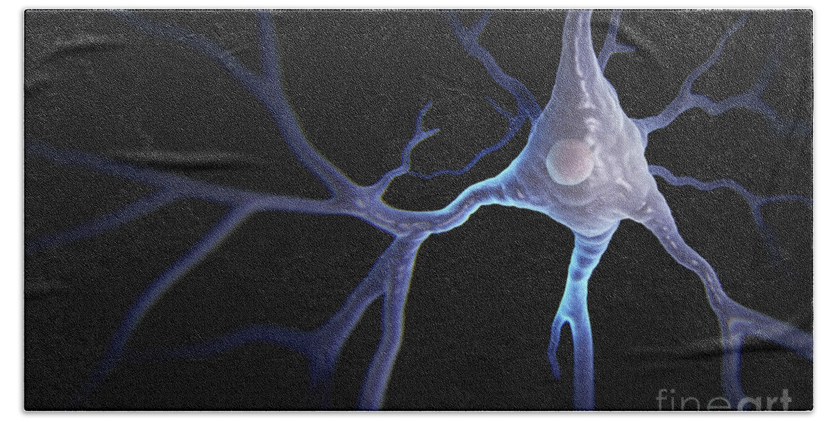 Anatomical Model Bath Towel featuring the photograph Pyramidal Neuron #7 by Science Picture Co