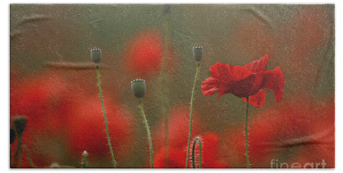 Poppy Bath Towel featuring the photograph Red #7 by Nailia Schwarz