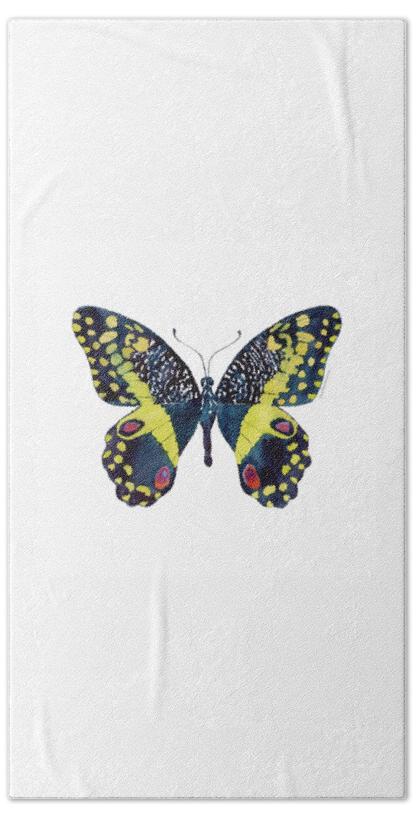 African Citrus Butterfly Hand Towel featuring the painting 73 Citrus Butterfly by Amy Kirkpatrick