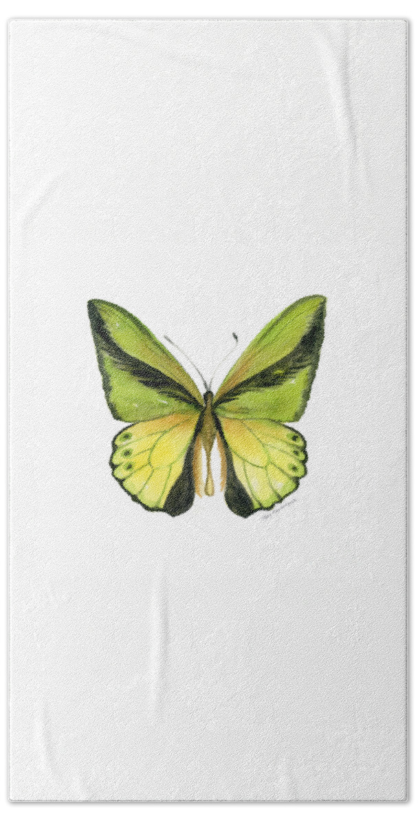 Goliath Butterfly Bath Towel featuring the painting 8 Goliath Birdwing Butterfly by Amy Kirkpatrick