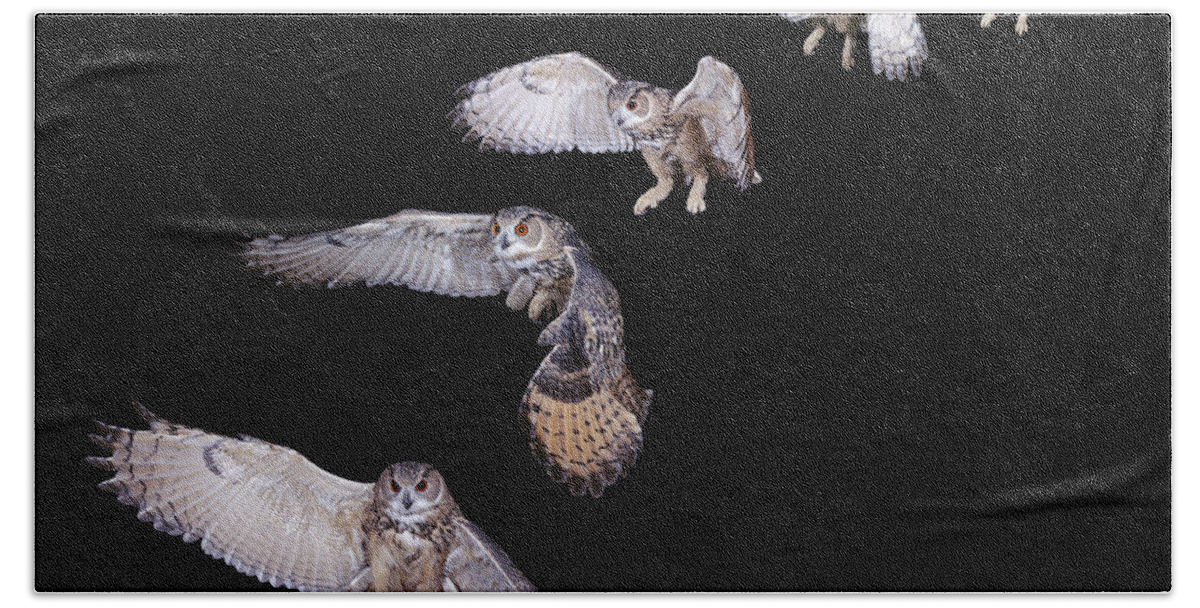 Adult Hand Towel featuring the photograph Hibou Grand Duc Deurope Bubo Bubo #8 by Gerard Lacz