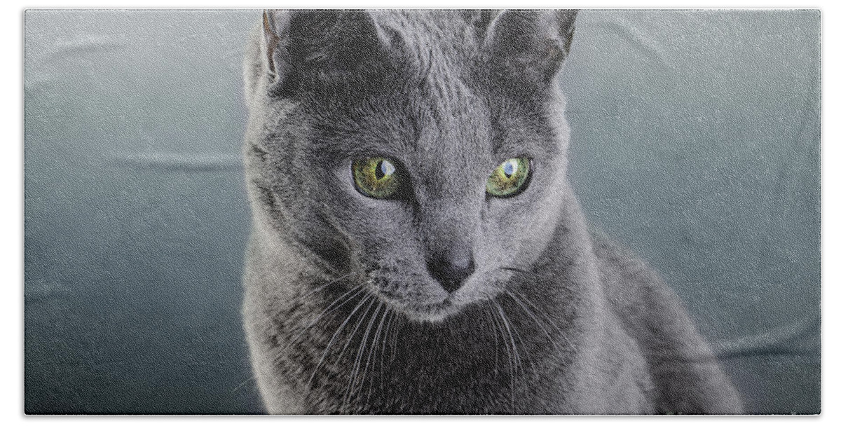 Cat Bath Sheet featuring the photograph Russian Blue Cat by Nailia Schwarz