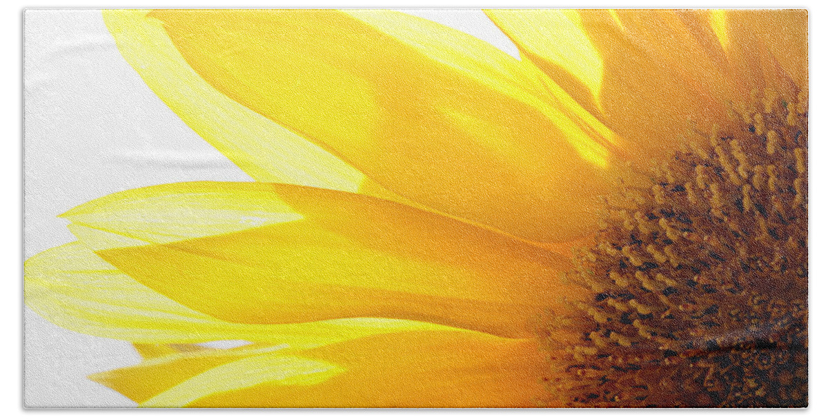Sunflower Bath Towel featuring the photograph Sunflower by Cindi Ressler