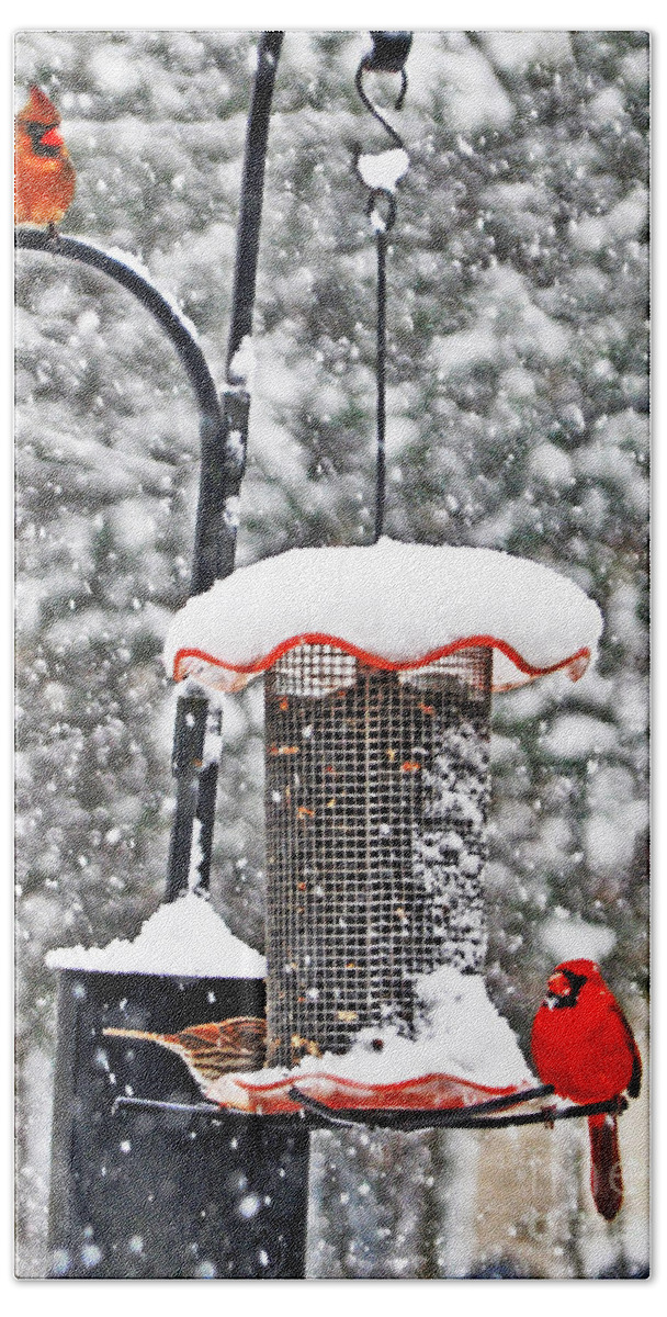 A Cardinal Winter Hand Towel featuring the photograph A Cardinal Winter by Lydia Holly