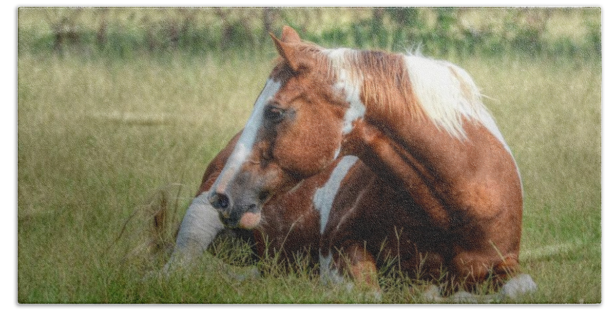 Horse Bath Towel featuring the photograph A Comfy Resting Place by Kathy Baccari