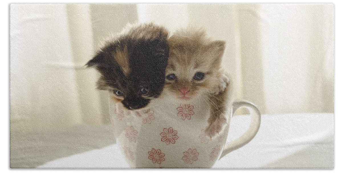 Cute Hand Towel featuring the photograph A cup of cuteness by Spikey Mouse Photography