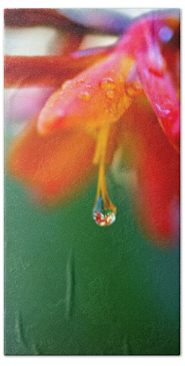 Water Droplet Hand Towel featuring the photograph A Delicate Touch - Water Droplet - Orange Flower by Marie Jamieson