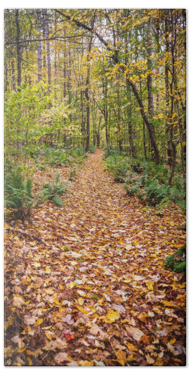 Fall Hand Towel featuring the photograph A Fall Stroll by Sandy Roe