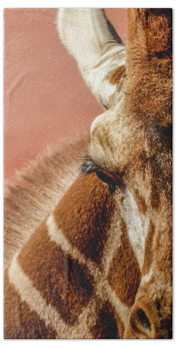 Animals Hand Towel featuring the photograph A Giraffe by Ernest Echols