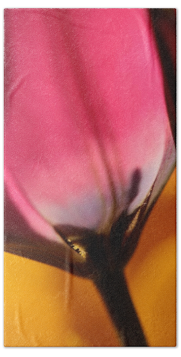 Tulip Bath Towel featuring the photograph A Glimpse Into Eternity by Connie Handscomb