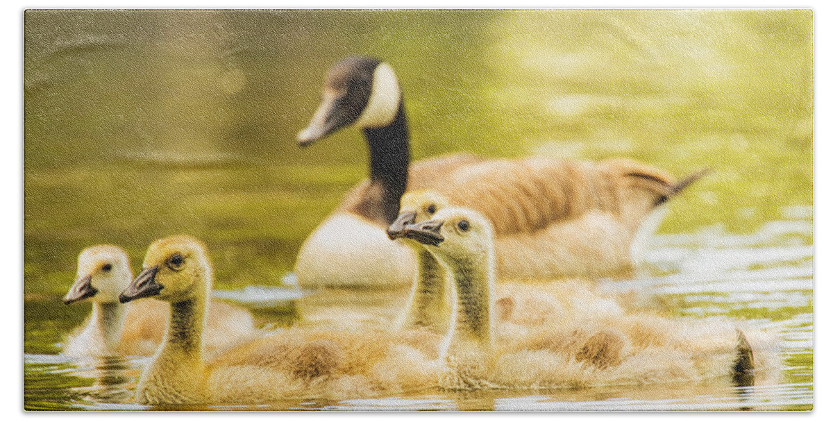 Goose Bath Towel featuring the photograph A Goosey Family Affair by Bill and Linda Tiepelman