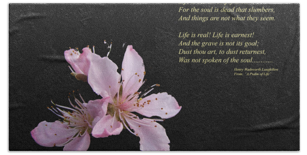Peach Blossom Hand Towel featuring the photograph A Psalm of Life by Phil And Karen Rispin
