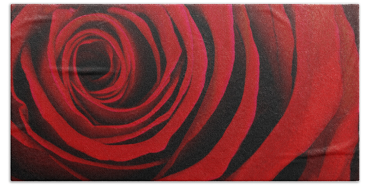 3scape Photos Hand Towel featuring the photograph A Rose for Valentine's Day by Adam Romanowicz