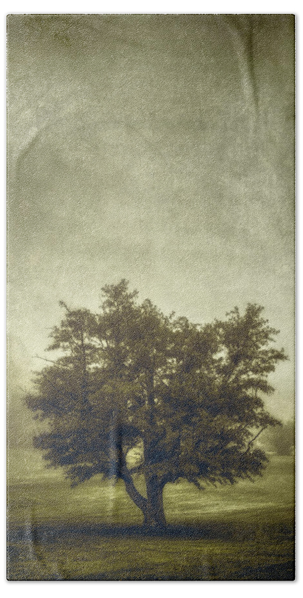 Tree Hand Towel featuring the photograph A Tree in the Fog 2 by Scott Norris