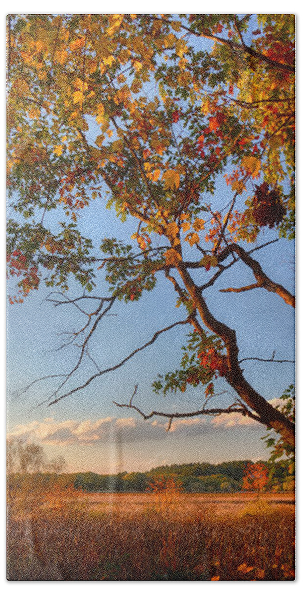 Owed To Nature Bath Towel featuring the photograph A Trees View of Autumn on the Marsh by Sylvia J Zarco