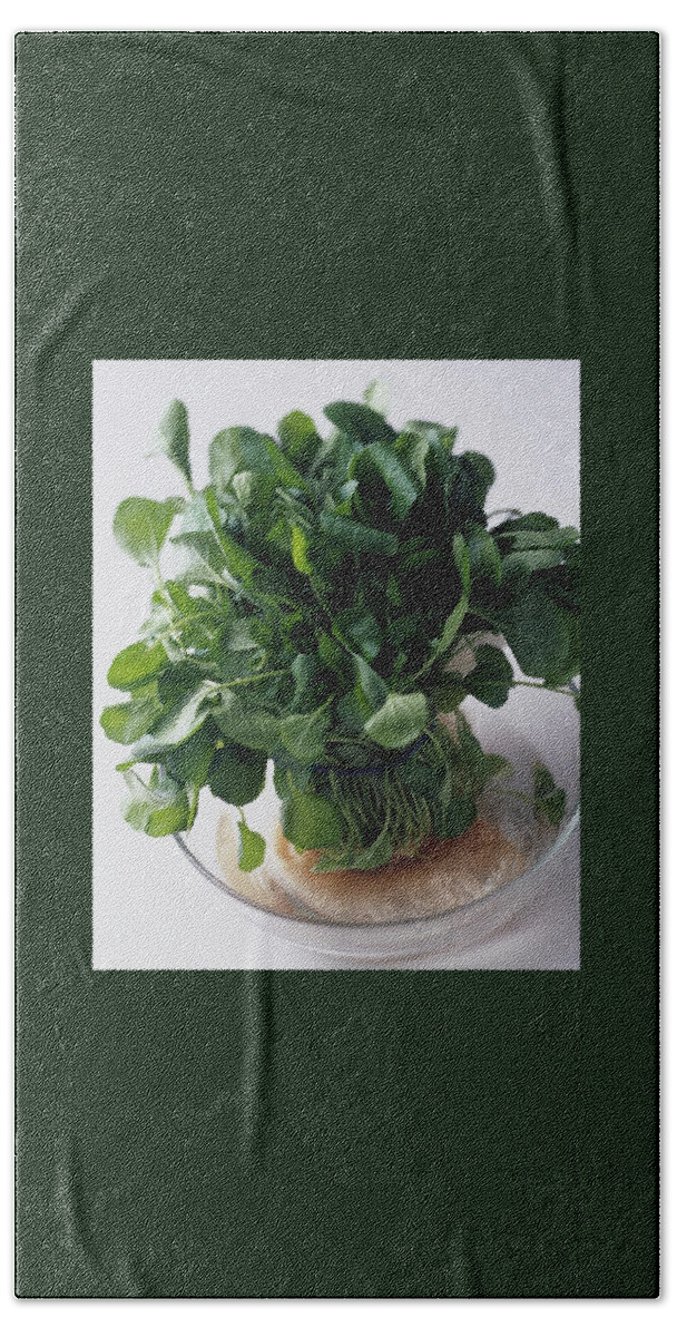 A Watercress Plant In A Bowl Of Water Hand Towel