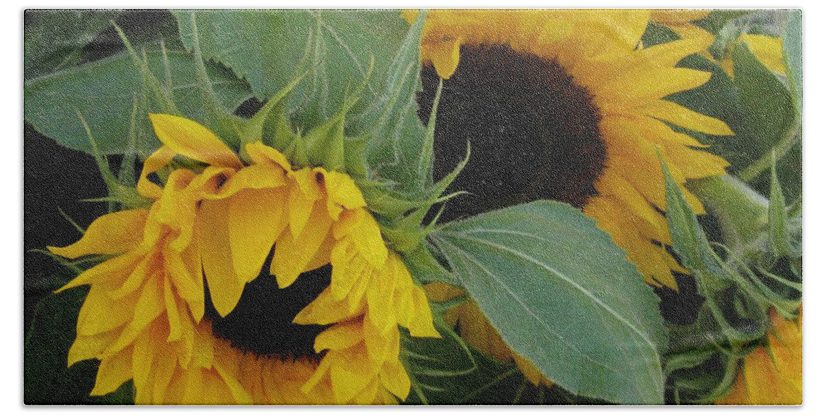 Sunflower Hand Towel featuring the photograph A Wink And A Nod by Arlene Carmel