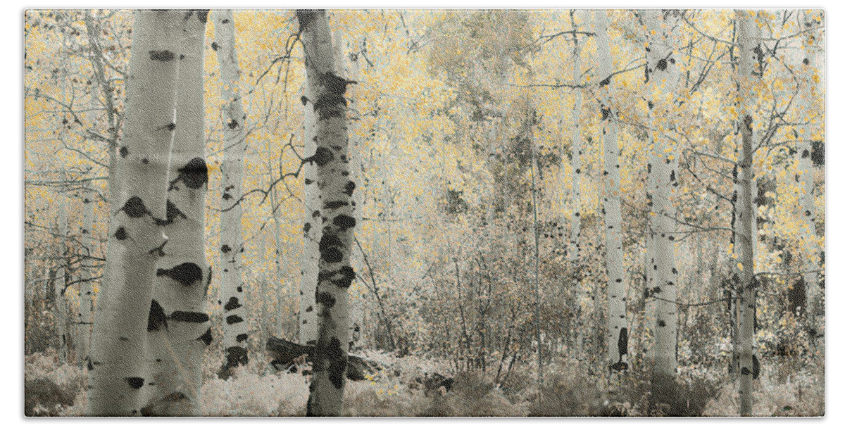 Aspens Bath Towel featuring the photograph A Wisp of Gold by Don Schwartz