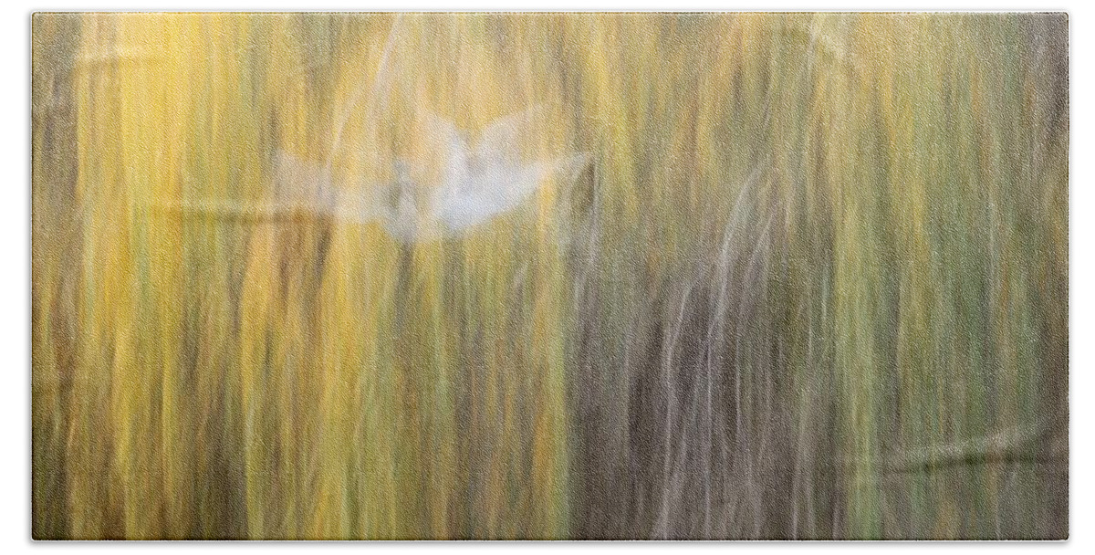 Nature Bath Towel featuring the photograph Abstract Haze by Amy Gallagher