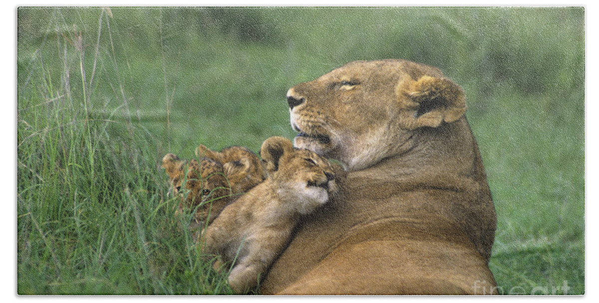 Africa Bath Towel featuring the photograph African Lions Mother and Cubs Tanzania by Dave Welling