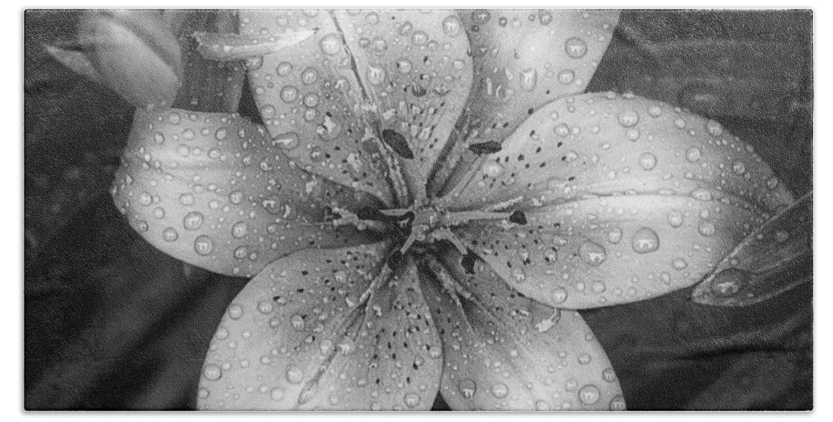 Tiger Lily Hand Towel featuring the photograph After the Rain by Scott Norris