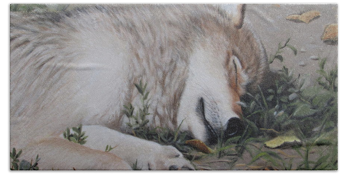 Wolf Bath Towel featuring the painting Afternoon Nap by Tammy Taylor