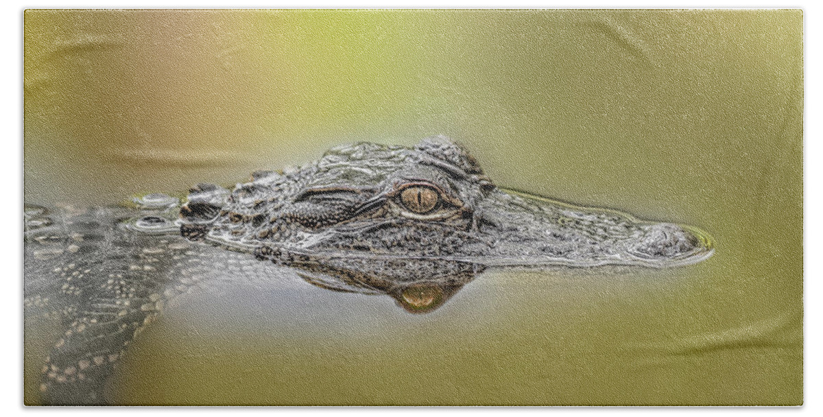 Aggression Hand Towel featuring the photograph Alligator by Peter Lakomy