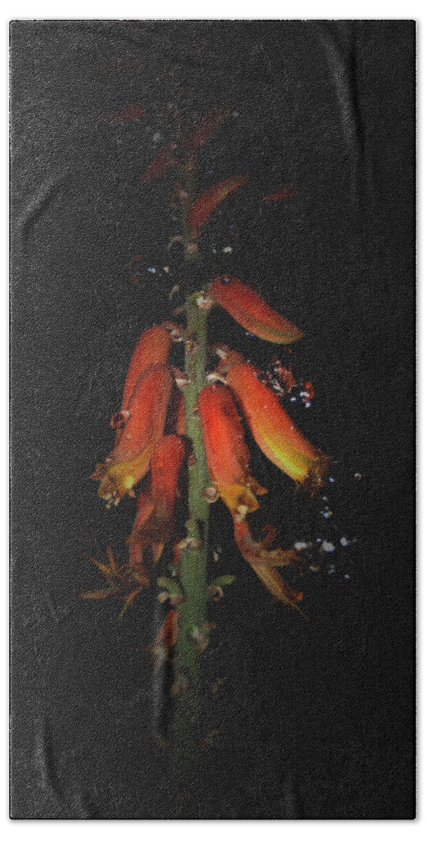 Raindrops Aloe Flower Black Orange Green Hand Towel featuring the photograph Aloe Flower by Leticia Latocki