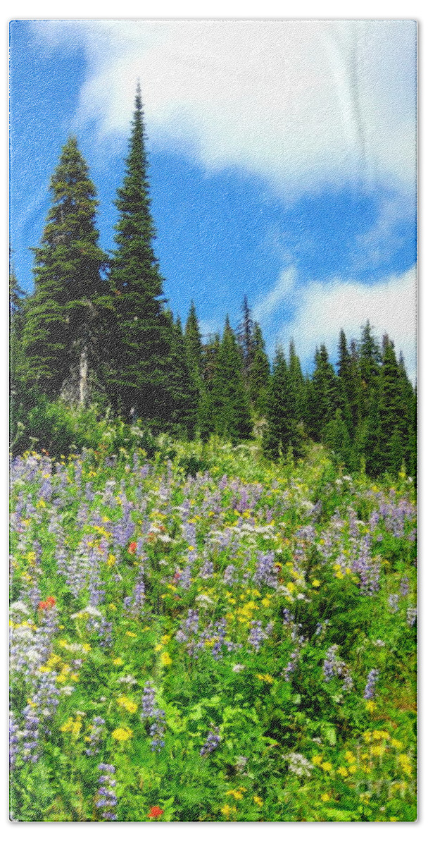 Alpine Bath Towel featuring the photograph Alpine Walk by Kathy Bassett