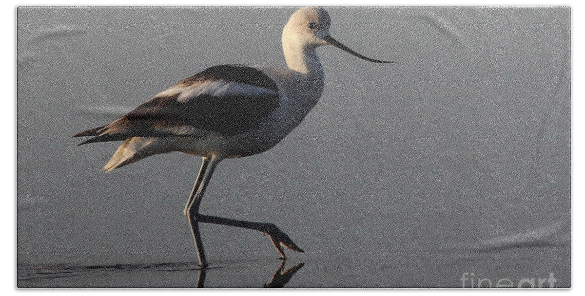 American Avocet Bath Towel featuring the photograph American Avocet by Meg Rousher