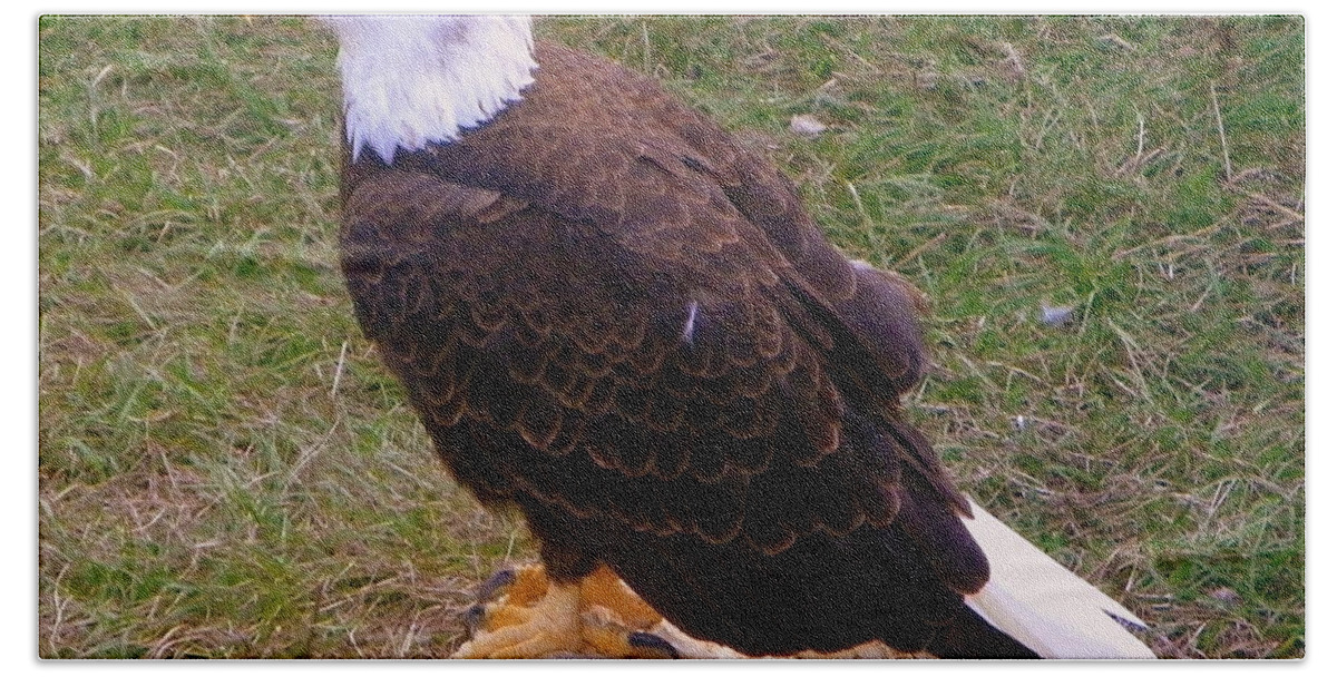 American Eagle Bath Towel featuring the photograph American Bald Eagle 1 by Sheri McLeroy