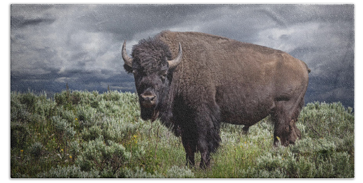 Bison Bath Sheet featuring the photograph American Buffalo or Bison in Yellowstone by Randall Nyhof