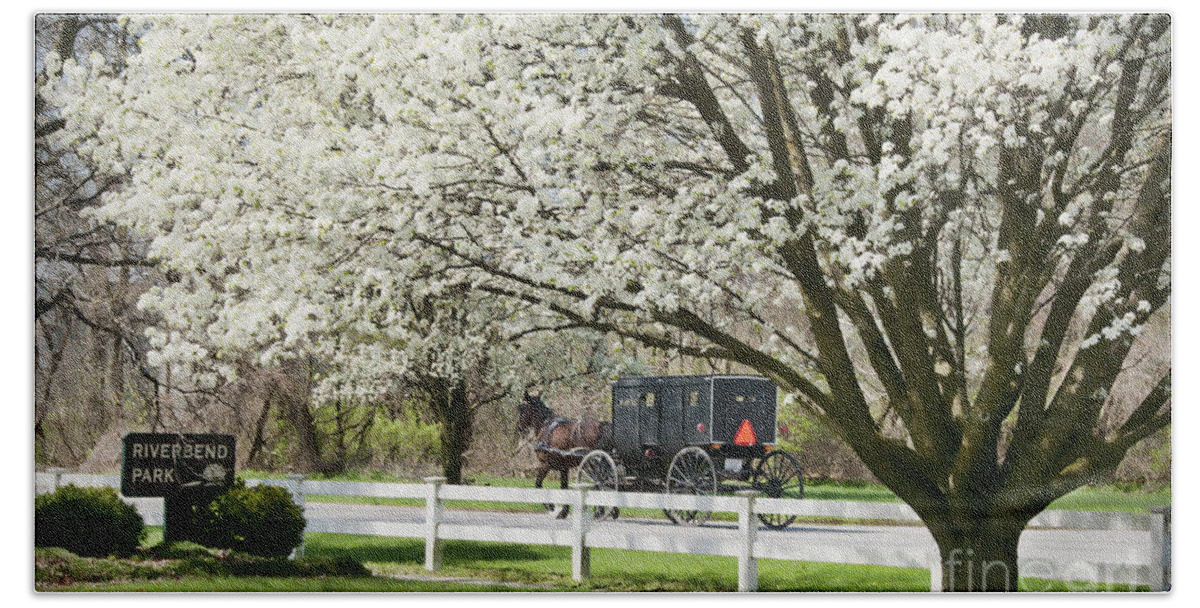 Spring Hand Towel featuring the photograph Amish Buggy Fowering Tree by David Arment