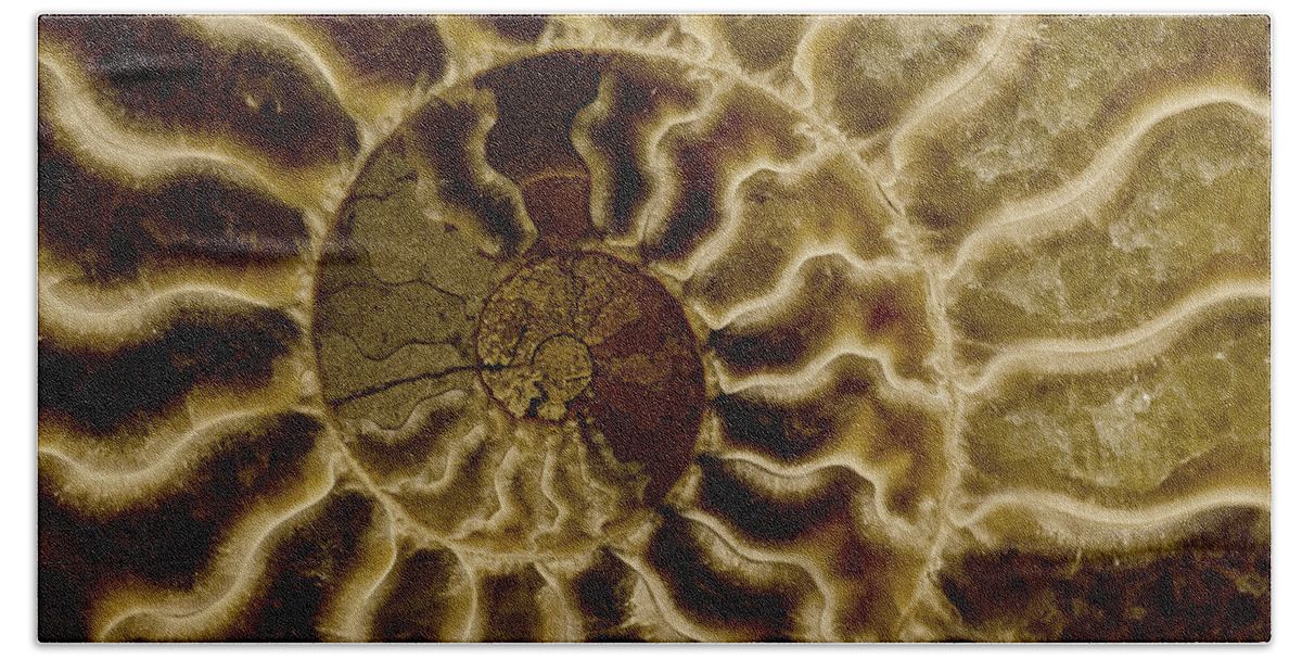 Ammonite Bath Towel featuring the photograph An ancient ammonite pattern IV by Jaroslaw Blaminsky