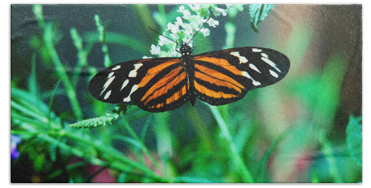 Orance Bath Sheet featuring the photograph An Orange And Black Butterfly by Jeff Swan