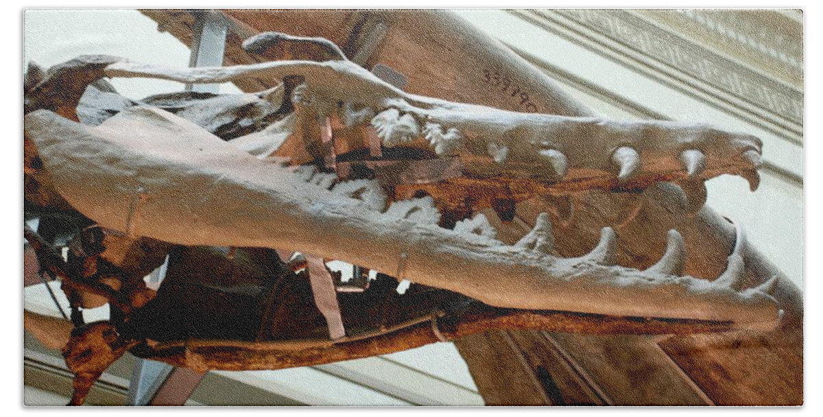 Dinosaur Hand Towel featuring the photograph Ancient Crocodile Dinosaur by Kenny Glover