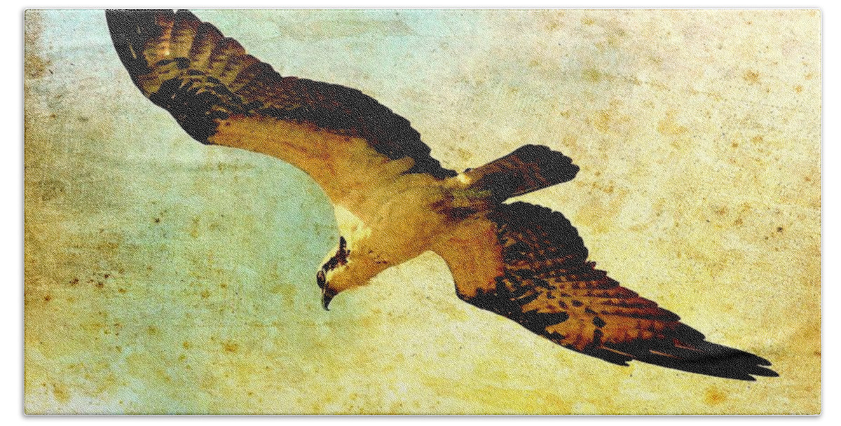 Osprey Hand Towel featuring the photograph Ancient Hunter by Carol Groenen