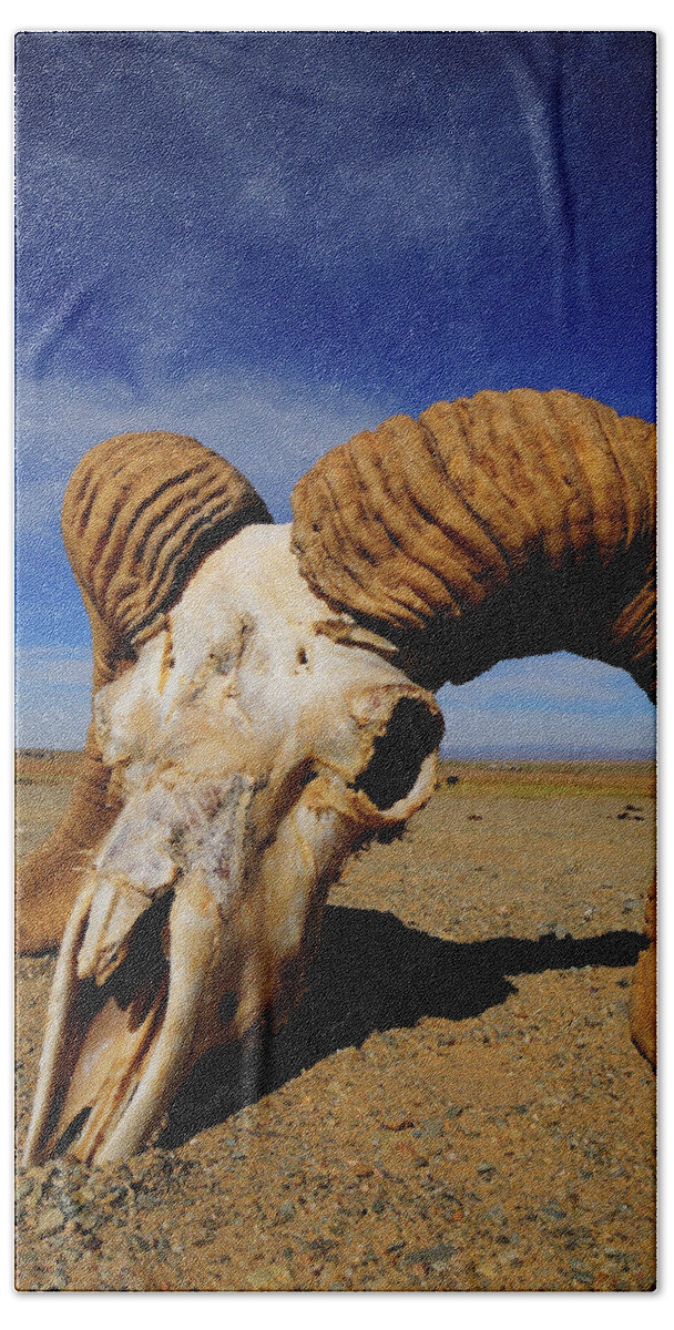 Animal Skull In The Gobi Desert Bath Towel by Beck Photography - Fine Art  America
