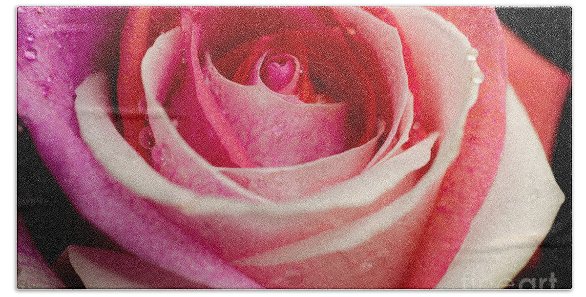 Rose Hand Towel featuring the photograph Anniversary Rose by Jonas Luis