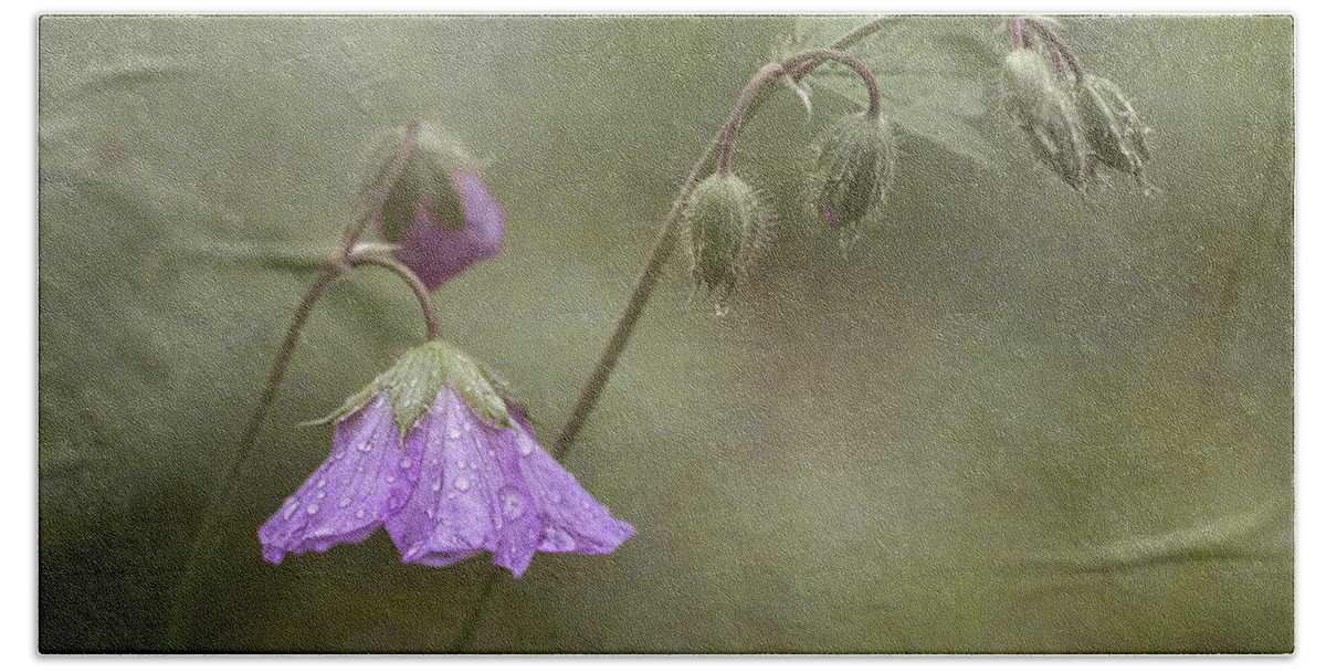 Wildflower Hand Towel featuring the photograph Antecedent Bloom by Dale Kincaid