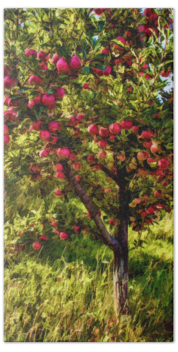 Apple Bath Towel featuring the photograph Apple Orchard II by Diana Powell